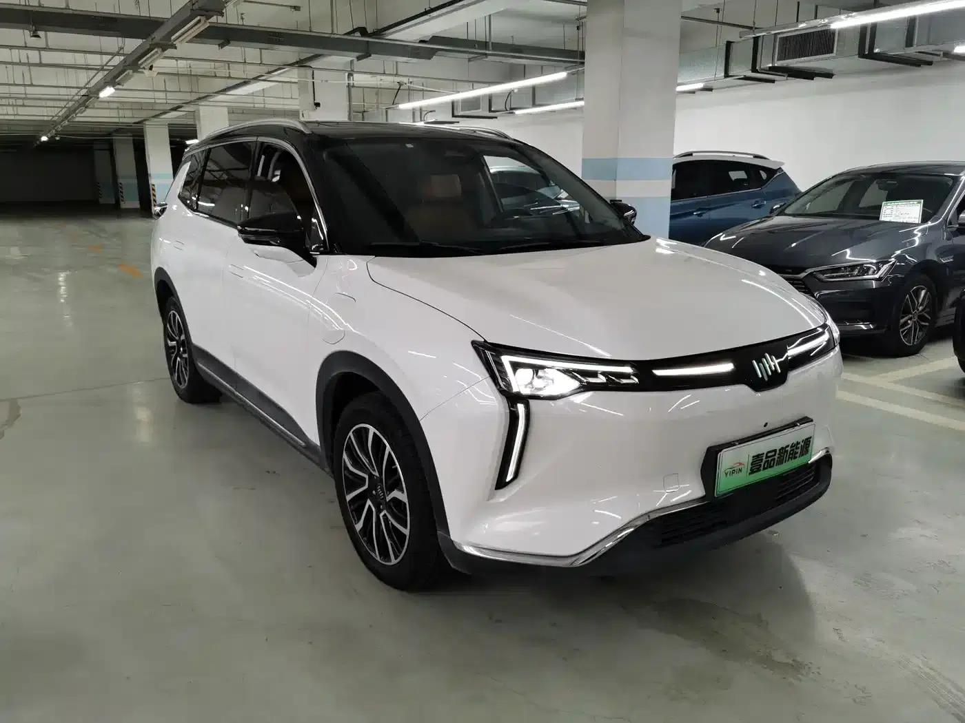 Weltmeister W6 2021 520km PRO All-Round Edition — миниатюра 3
