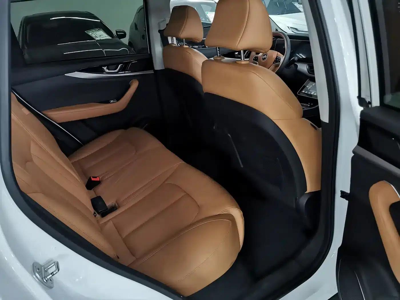 Weltmeister W6 2021 520km PRO All-Round Edition — миниатюра 6