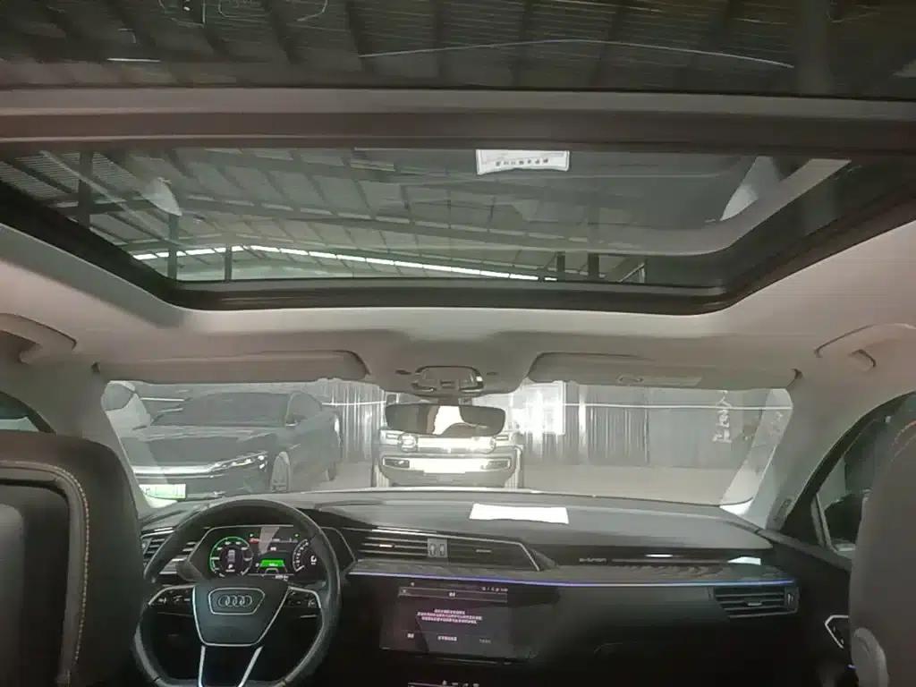 Audi e-tron 2021 50 quattro Premium Edition — миниатюра 18