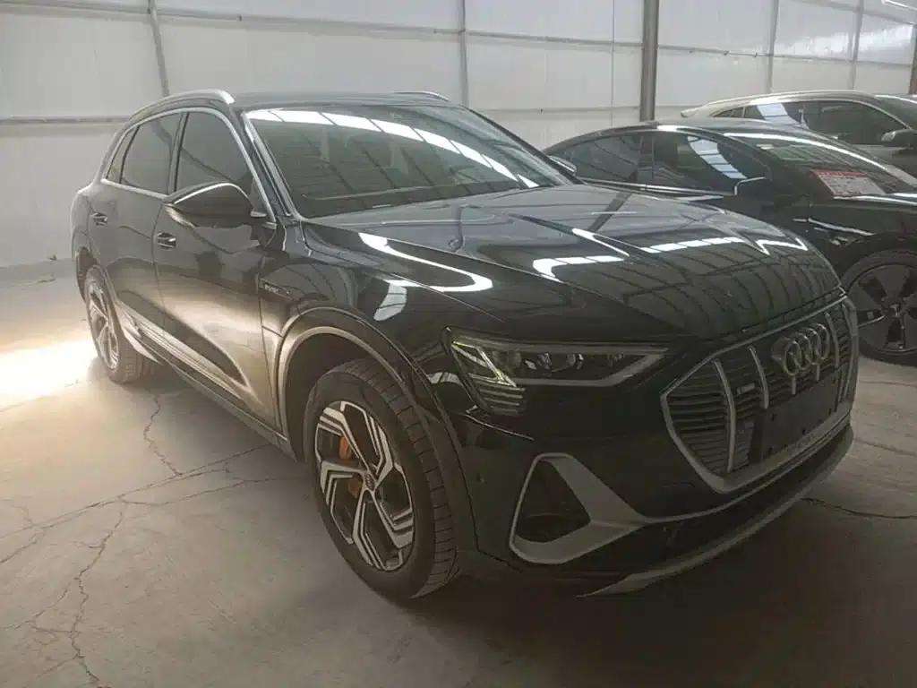 Audi e-tron 2021 50 quattro Premium Edition — миниатюра 4