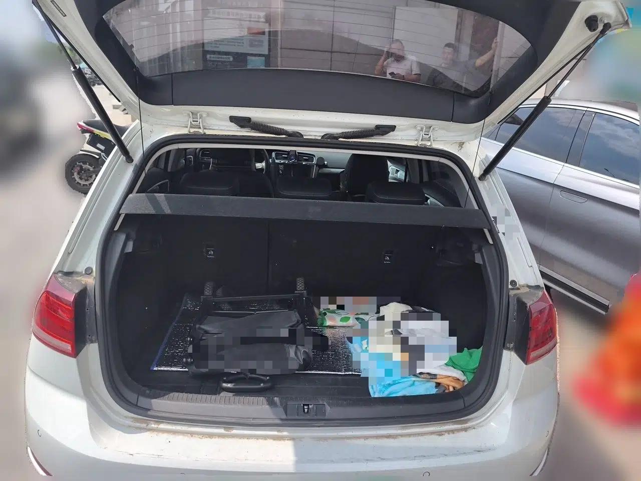 Volkswagen Golf Pure Electric 2020 Chari — миниатюра 19