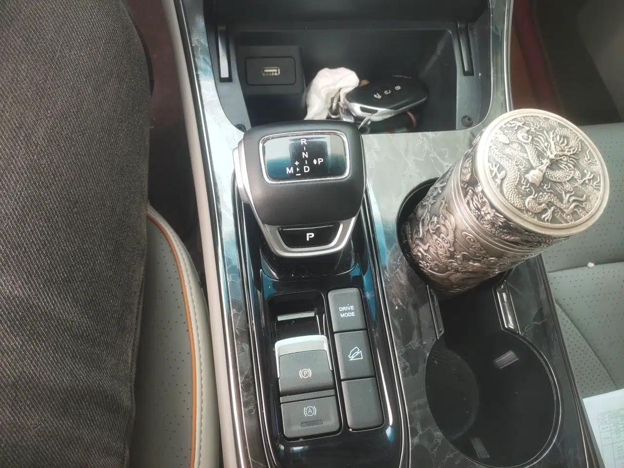 FORTHING Yacht 2022 1.5T DCT Lan Yue Edition — миниатюра 14