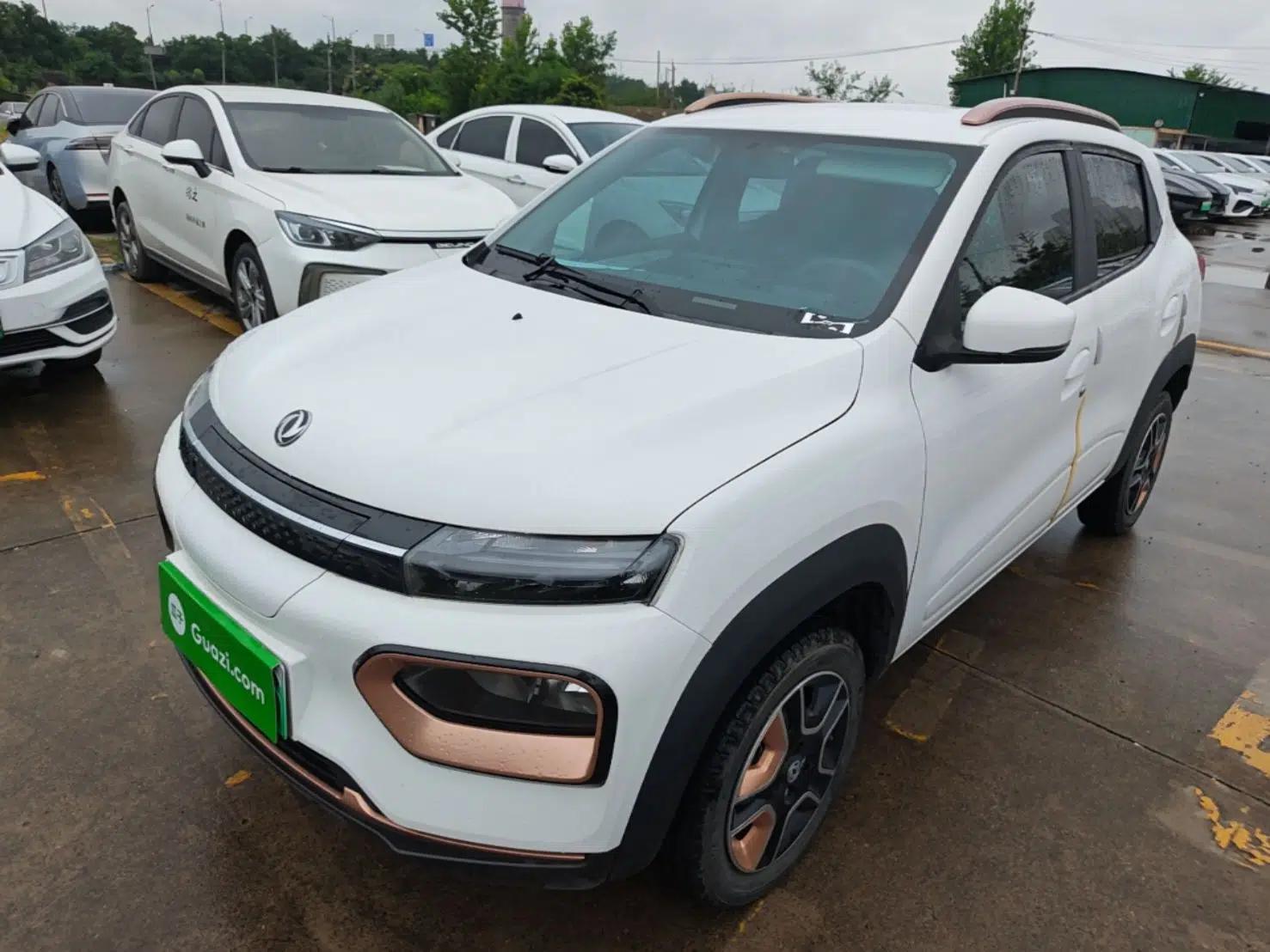 Dongfeng NAMMI BOX 2022 Chasing Wind Edition 331 km Standard Model — миниатюра 1