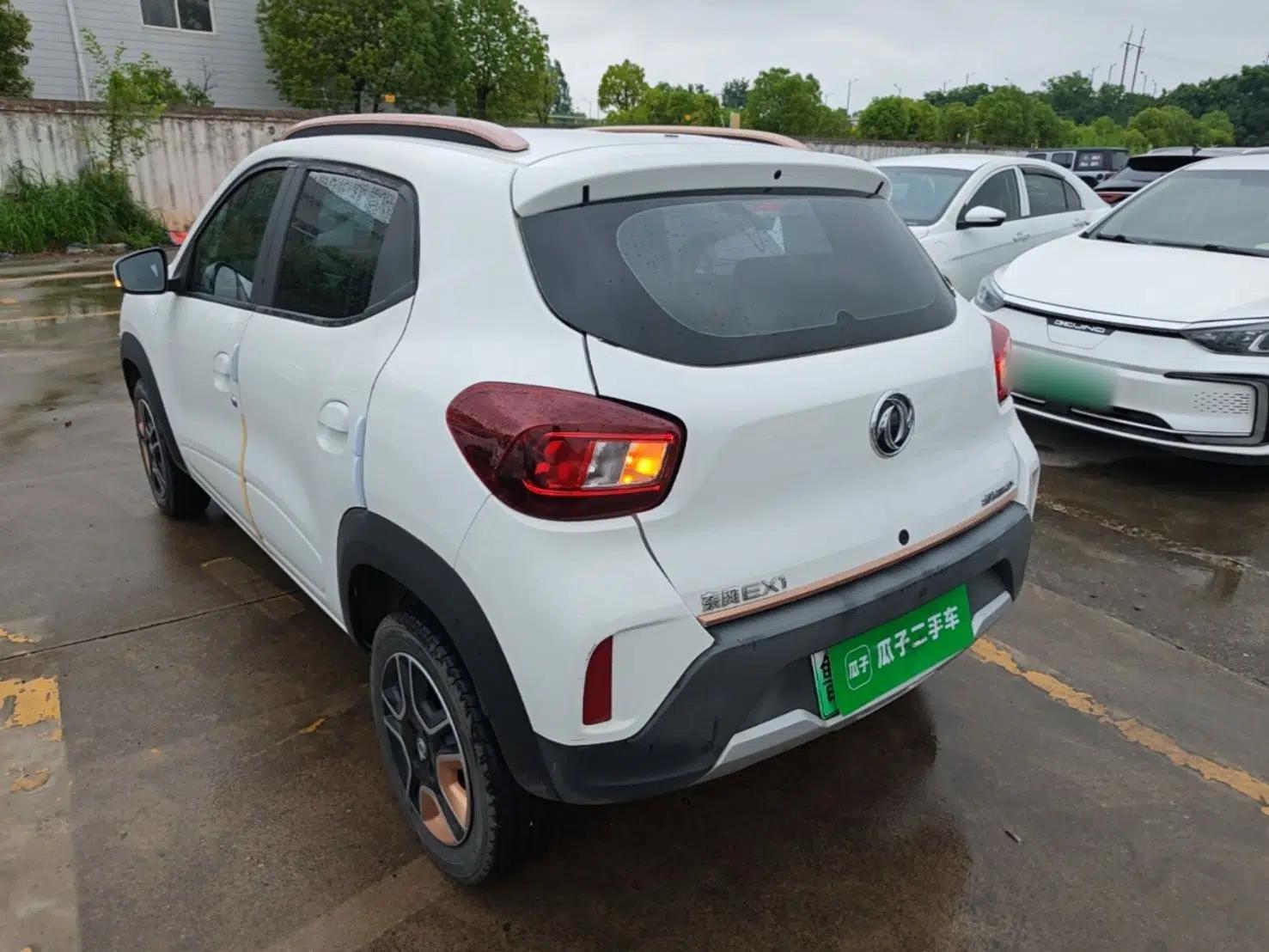 Dongfeng NAMMI BOX 2022 Chasing Wind Edition 331 km Standard Model — миниатюра 4