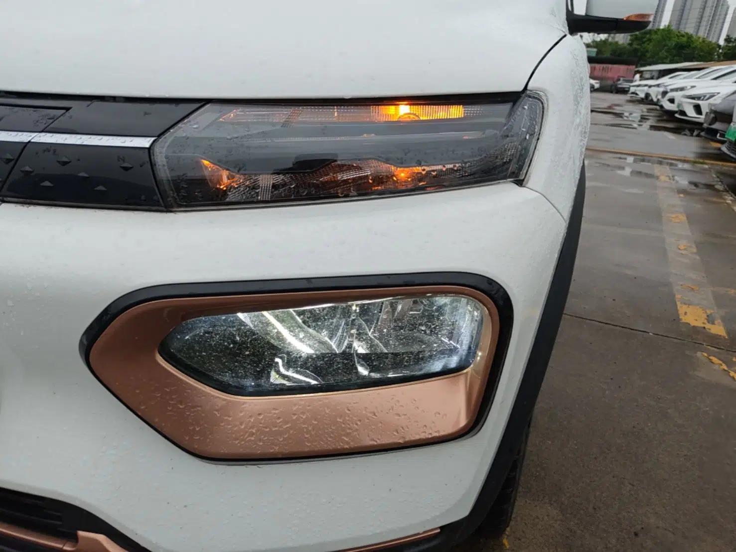 Dongfeng NAMMI BOX 2022 Chasing Wind Edition 331 km Standard Model — миниатюра 8