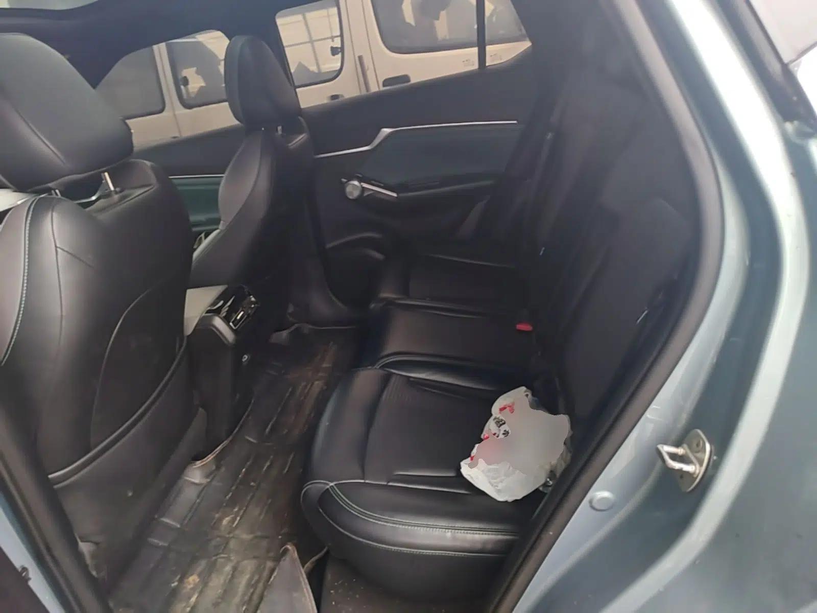 GAC Trumpchi EMKOO 2022 1.5T Supernova Edition — миниатюра 20