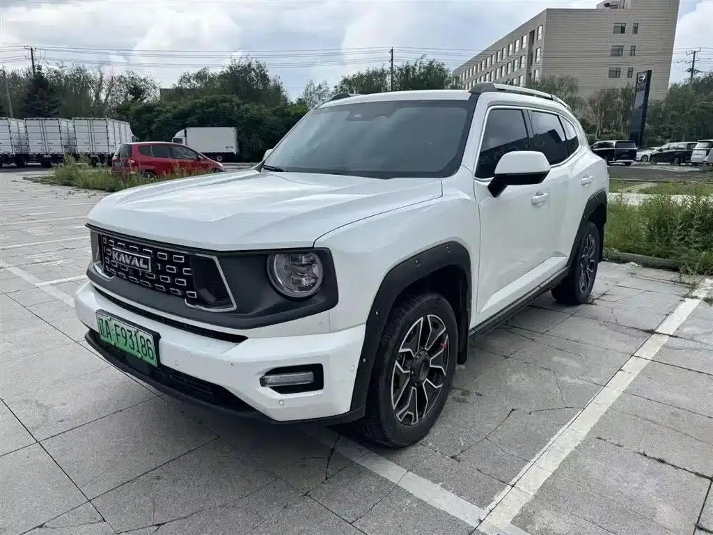 Haval Big Dog PLUS New Energy 2024 Hi4 102km Trendy Electric Edition Plus — миниатюра 1