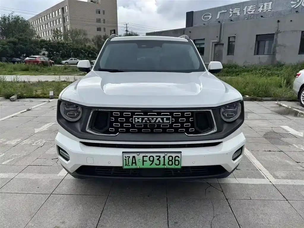 Haval Big Dog PLUS New Energy 2024 Hi4 102km Trendy Electric Edition Plus — миниатюра 4
