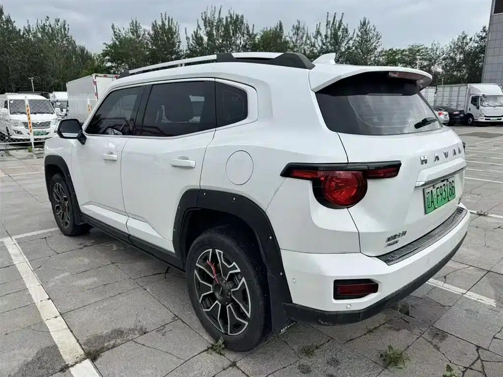 Haval Big Dog PLUS New Energy 2024 Hi4 102km Trendy Electric Edition Plus — миниатюра 6