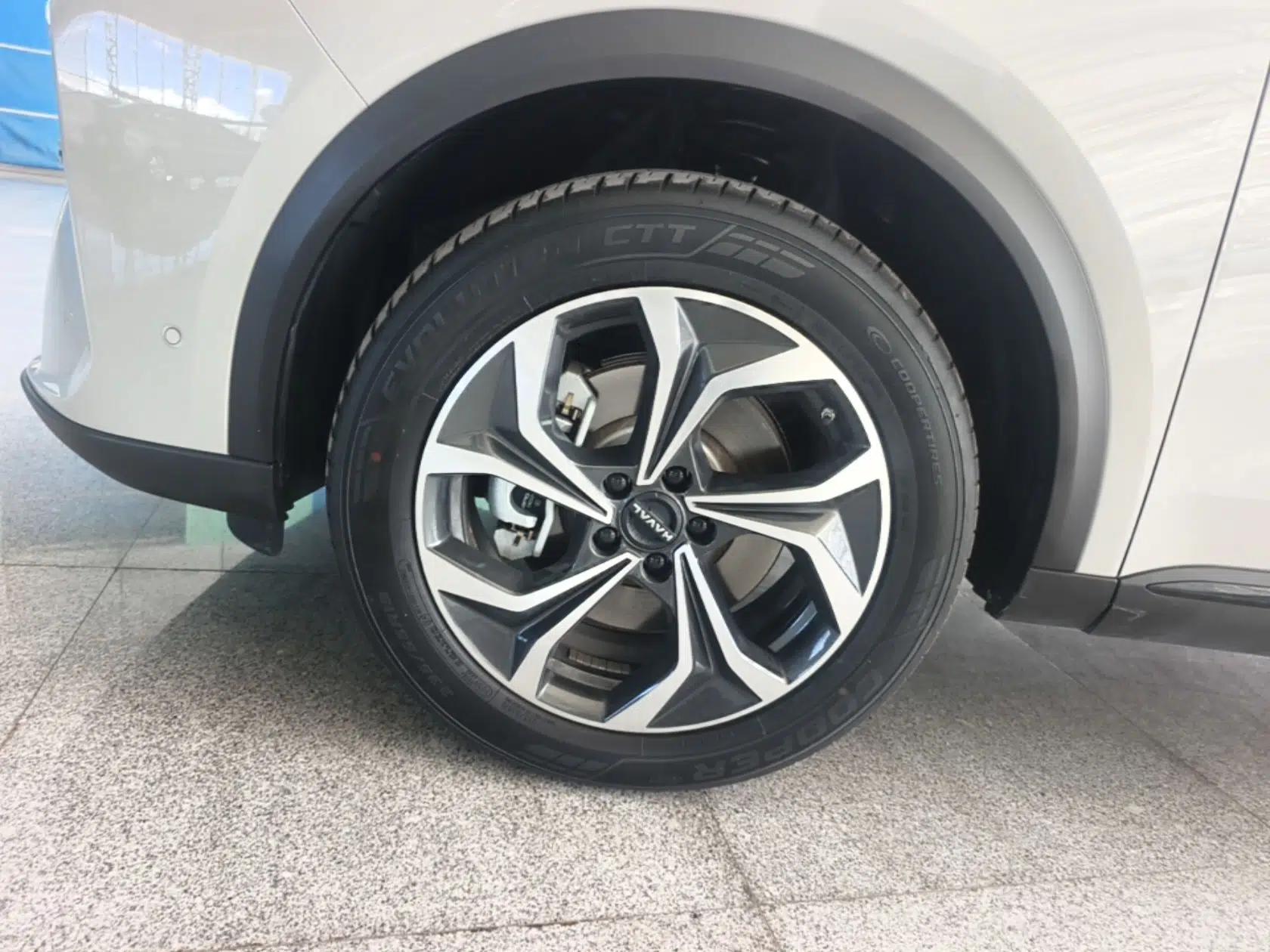 Haval Fierce Dragon Max 2025 Hi4 165 Ultra Smart Drive Edition — миниатюра 10