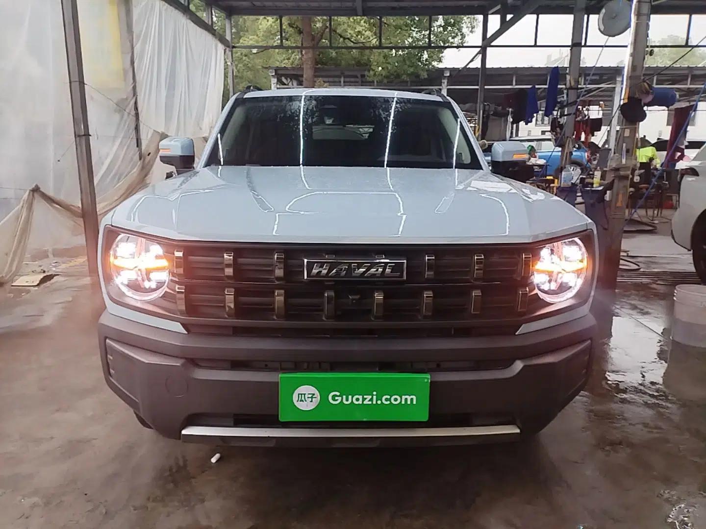 Haval X DOG 2022 1.5T DCT Two-Wheel Drive Trendy Edition — миниатюра 2