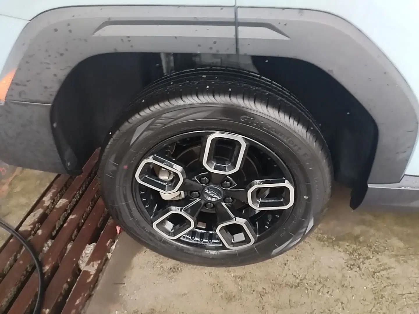 Haval X DOG 2022 1.5T DCT Two-Wheel Drive Trendy Edition — миниатюра 16