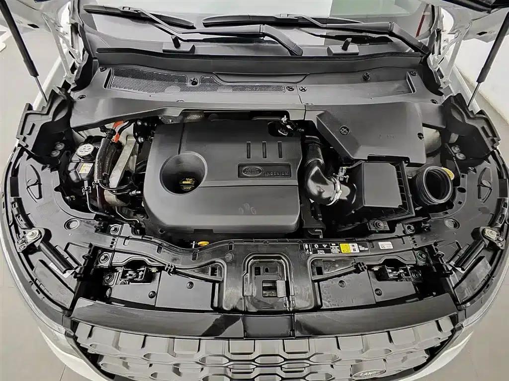 Discover Sporty New Energy 2021 P300e Performance Technology Edition — миниатюра 6