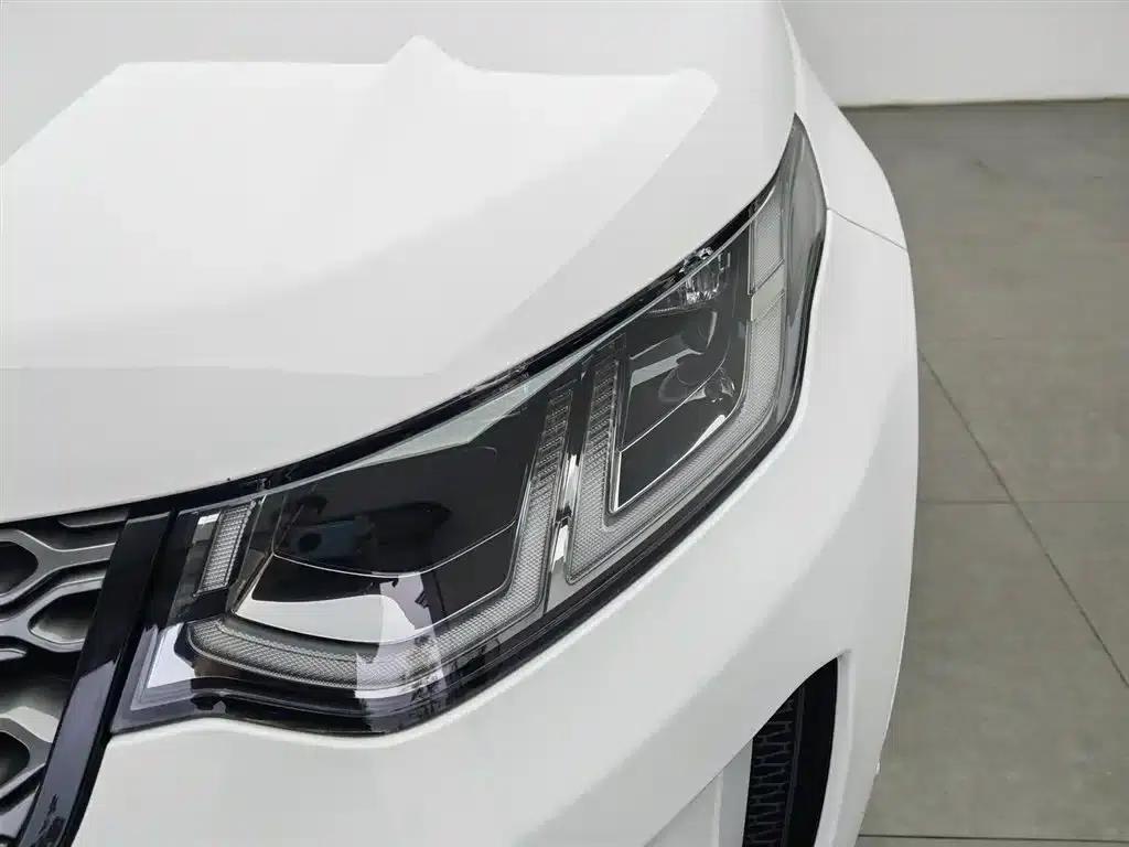 Discover Sporty New Energy 2021 P300e Performance Technology Edition — миниатюра 7