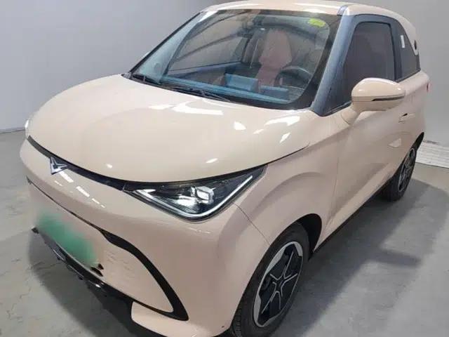 Cowin October 2023 301km Zhi Feng Edition