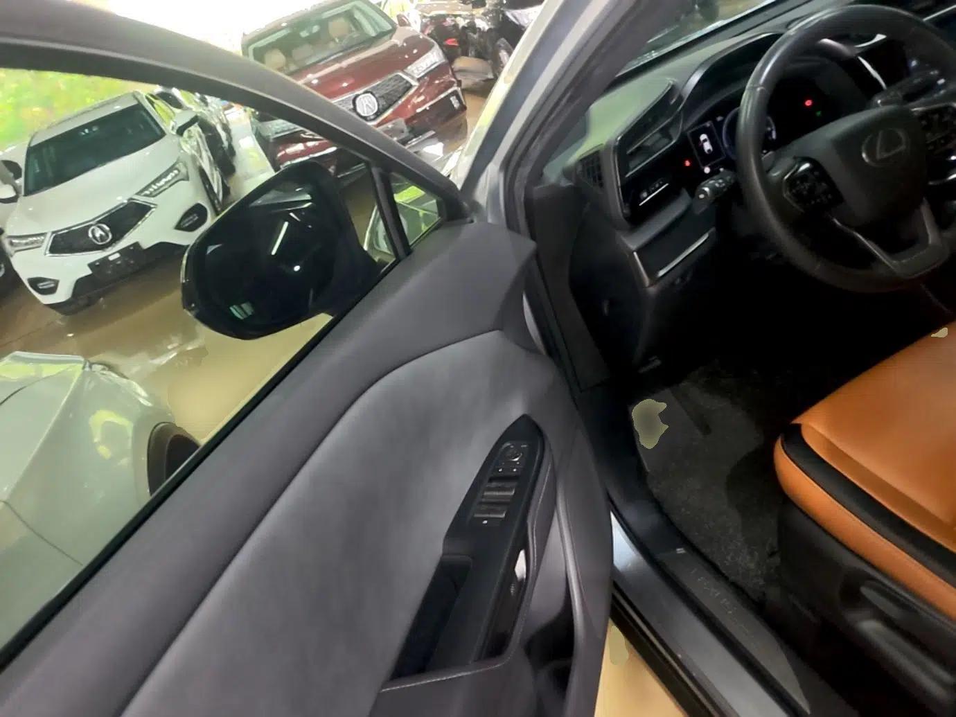 Lexus RZ 2023 450e All-Wheel-Drive Long-Range Version — миниатюра 18