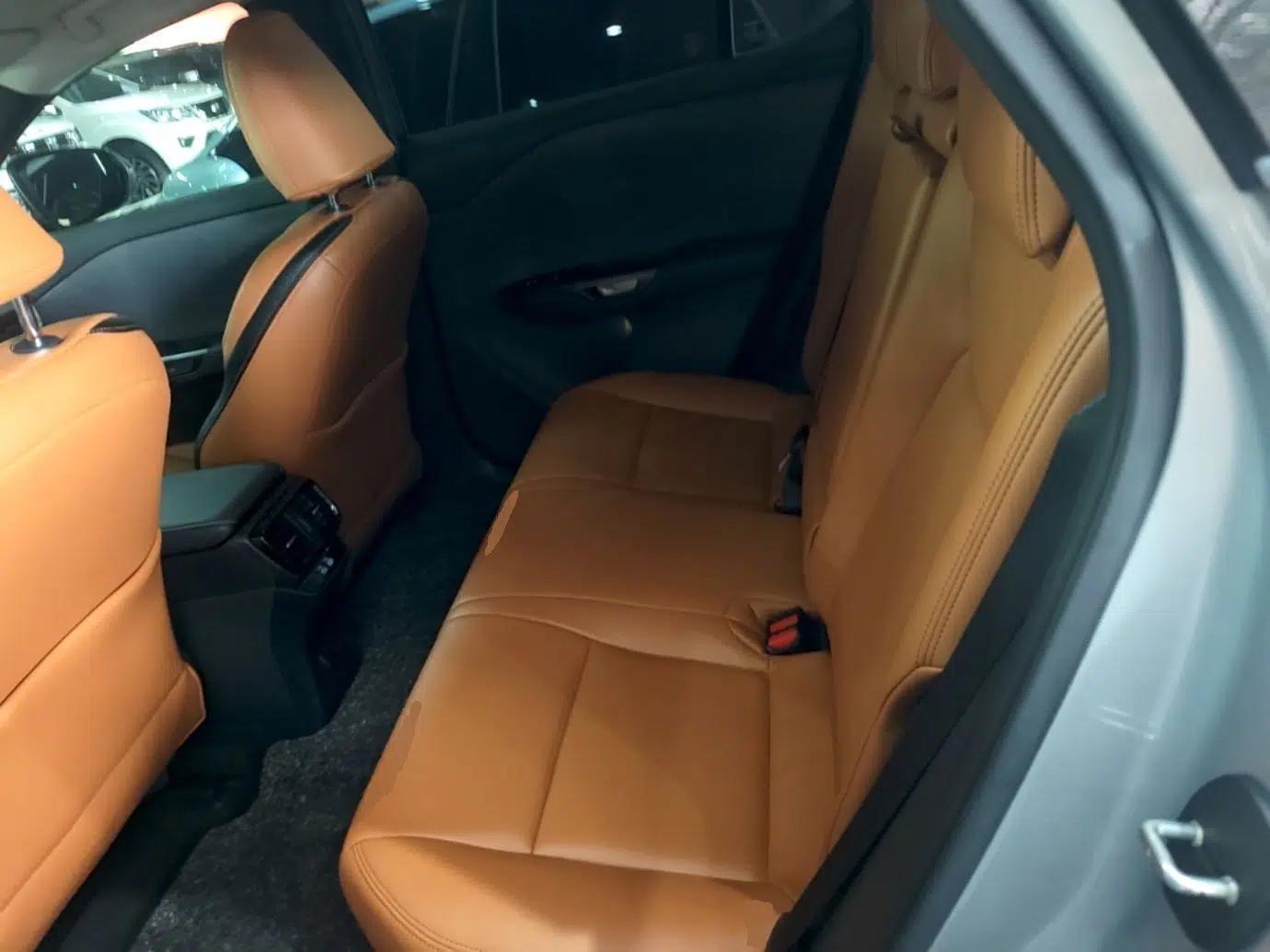 Lexus RZ 2023 450e All-Wheel-Drive Long-Range Version — миниатюра 20