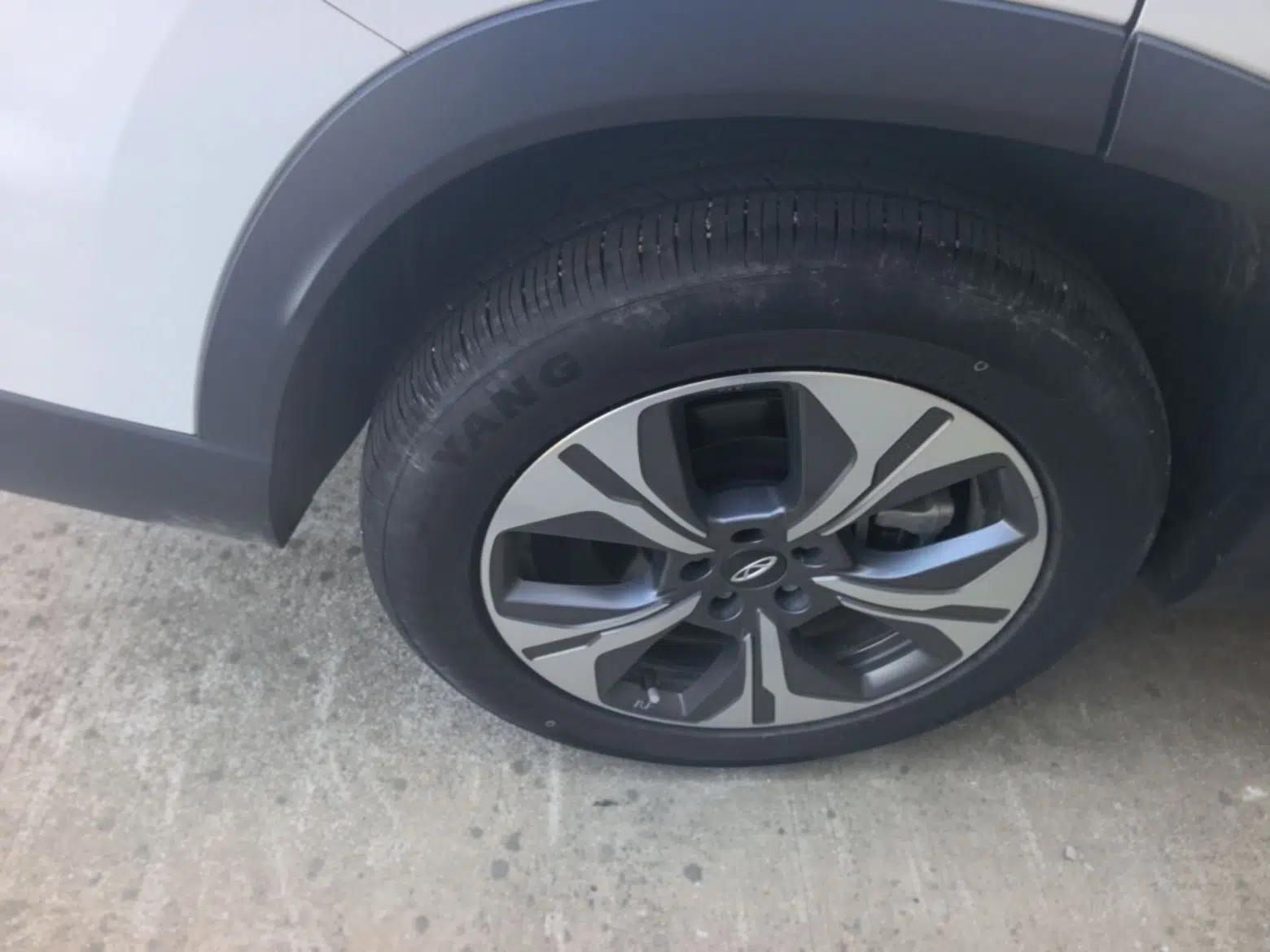 Chery Tiggo 8 PRO New Energy 2023 Champion Edition 1.5T 100km Glory Version — миниатюра 11