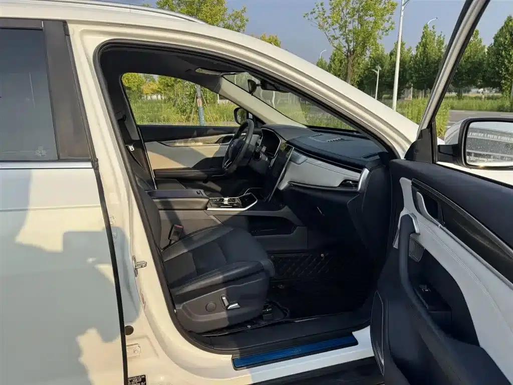Weltmeister EX5 2019 EX5 Lite Explorer Edition 400 — миниатюра 4
