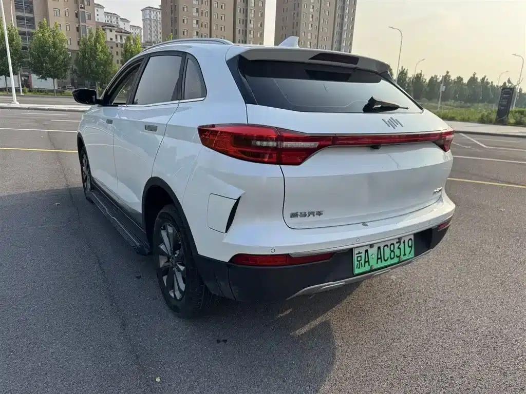 Weltmeister EX5 2019 EX5 Lite Explorer Edition 400 — миниатюра 9