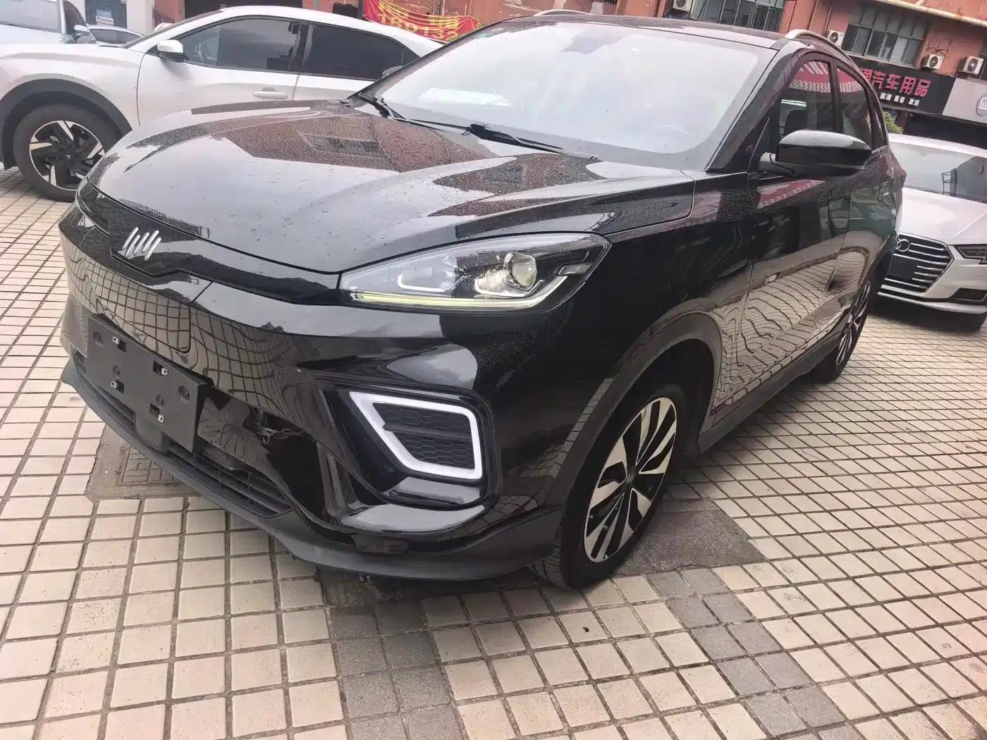 Weltmeister EX5 2020 EX5-Z Fun Dynamic Edition — миниатюра 1