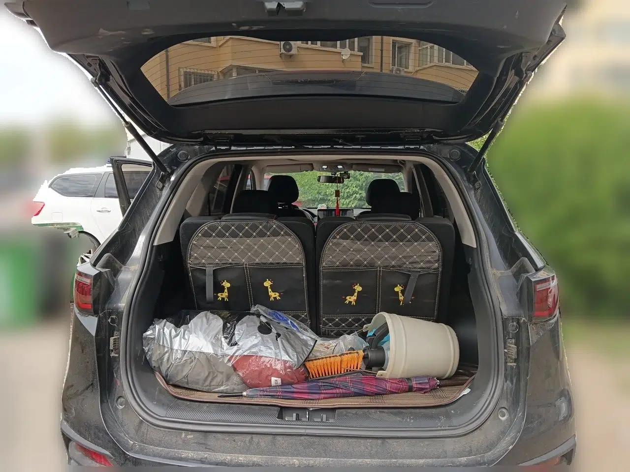 SOL X8 2021 300T DCT Prestige Smart Connect Edition 6 Seats — миниатюра 19
