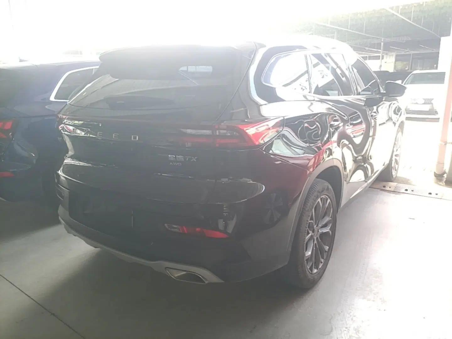 EXEED TX 2021 Super All-Wheel Drive Version 1.6T Four-Wheel Drive Super Power No. 2 — миниатюра 6
