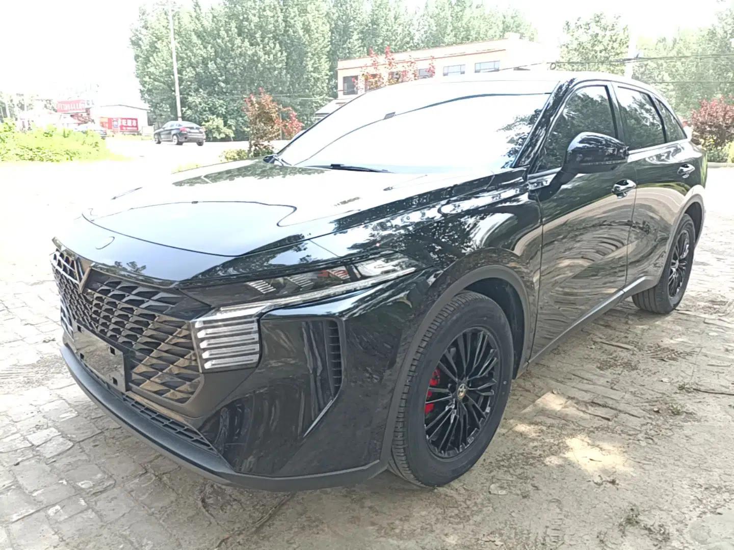 Venucia V 2023 260T Black Horse Edition Pro — миниатюра 1