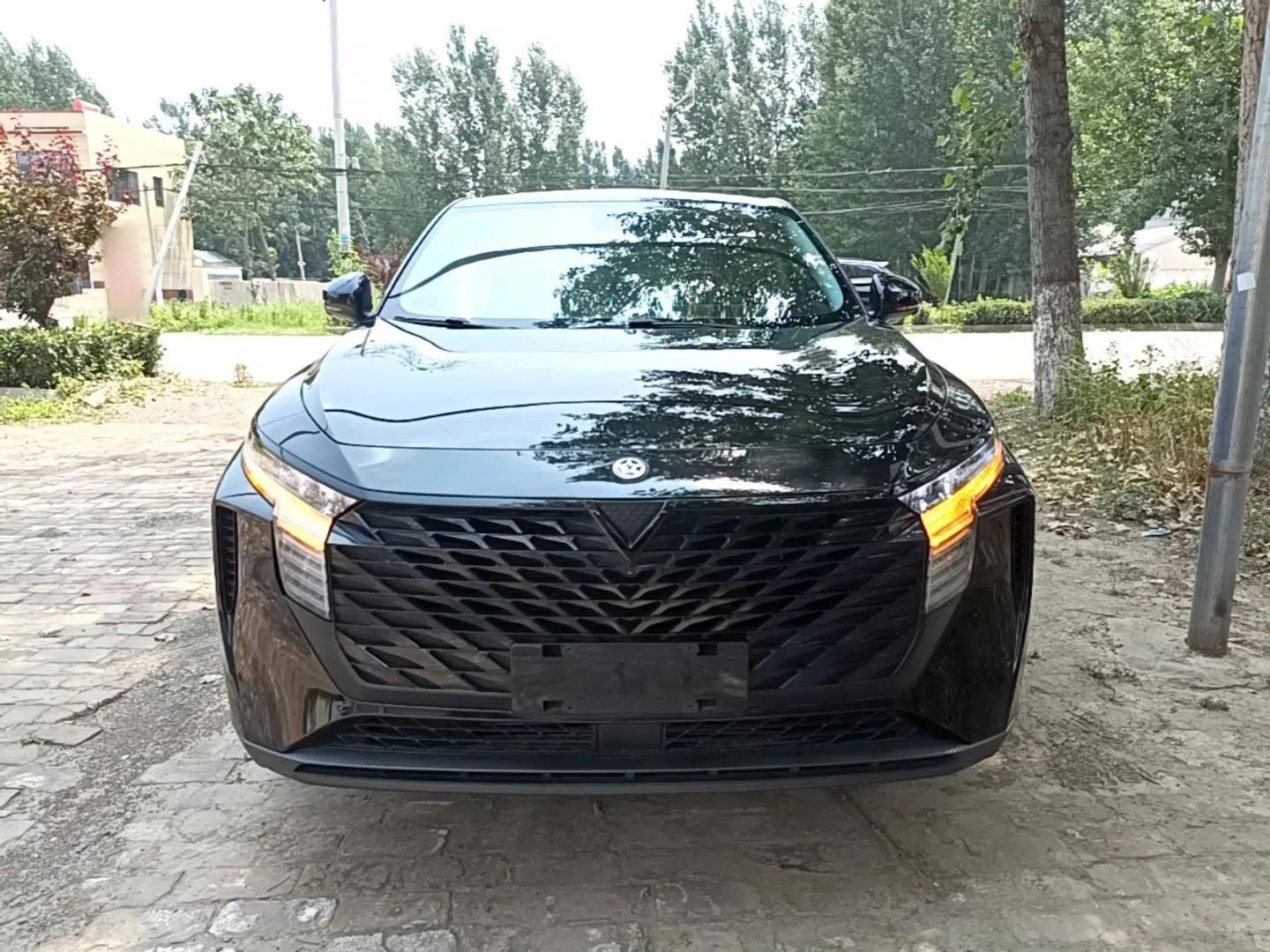 Venucia V 2023 260T Black Horse Edition Pro — миниатюра 2