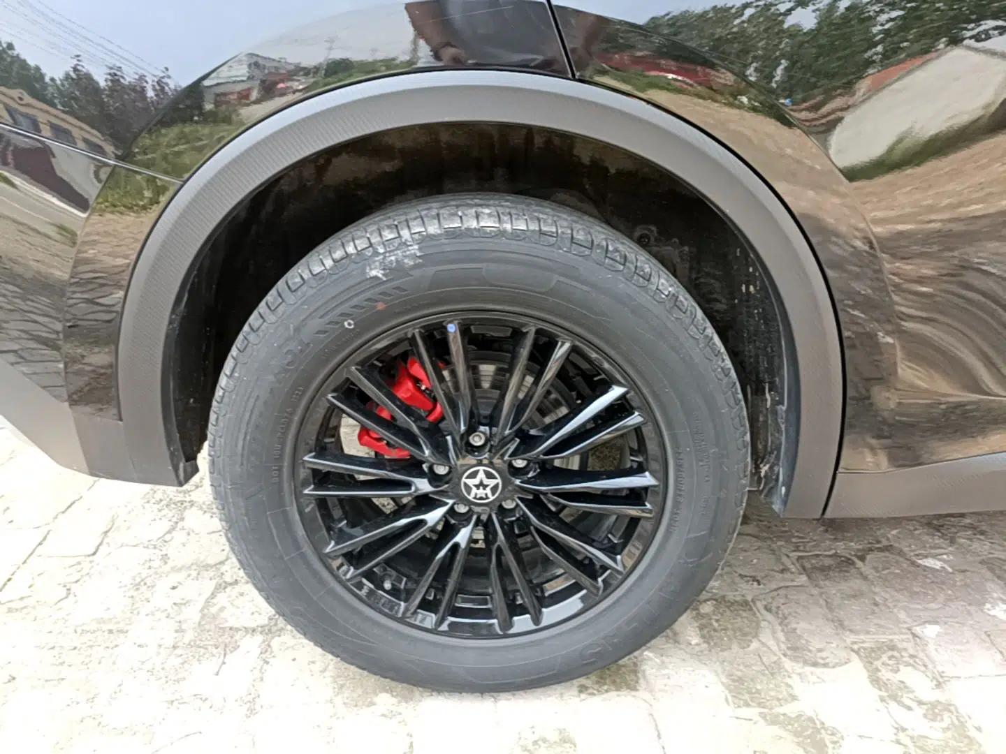 Venucia V 2023 260T Black Horse Edition Pro — миниатюра 11