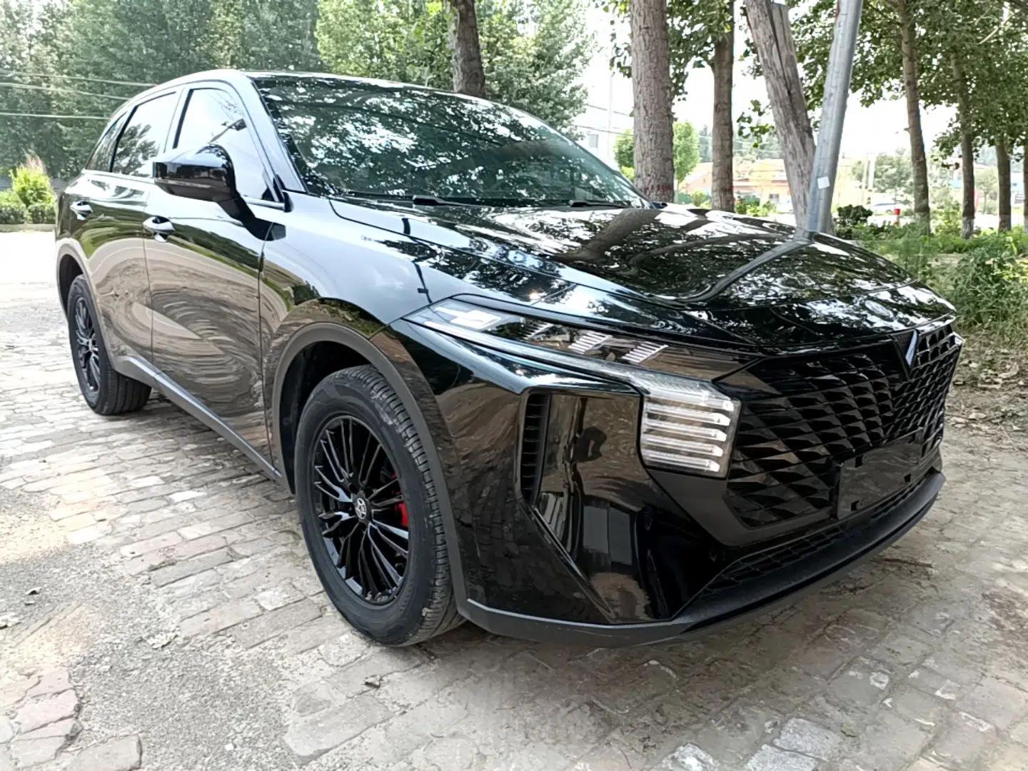 Venucia V 2023 260T Black Horse Edition Pro — миниатюра 3