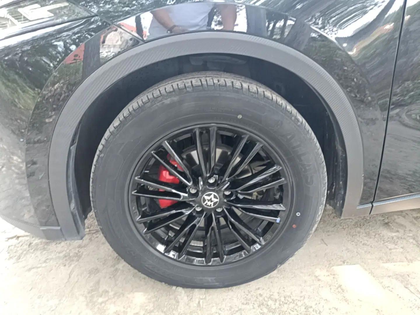 Venucia V 2023 260T Black Horse Edition Pro — миниатюра 10