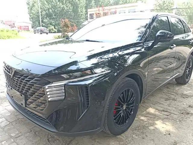 Venucia V 2023 260T Black Horse Edition Pro