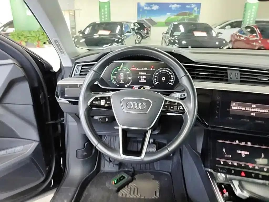 Audi e-tron (Imported) 2019 55 quattro Technology Edition — миниатюра 11