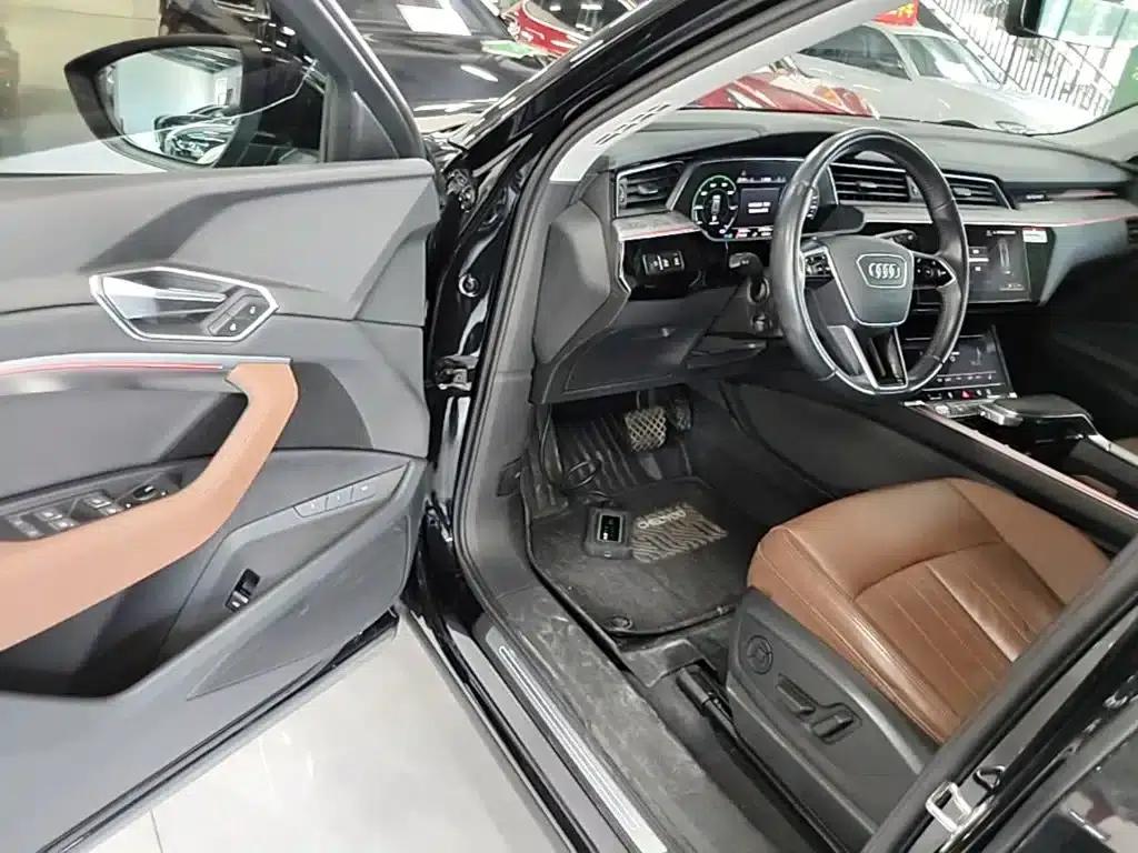 Audi e-tron (Imported) 2019 55 quattro Technology Edition — миниатюра 16