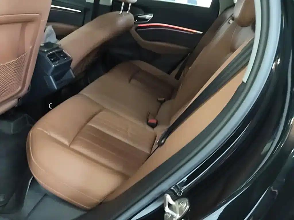 Audi e-tron (Imported) 2019 55 quattro Technology Edition — миниатюра 17
