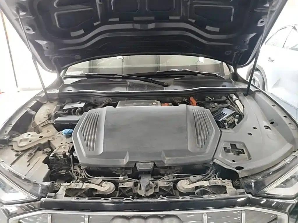 Audi e-tron (Imported) 2019 55 quattro Technology Edition — миниатюра 20