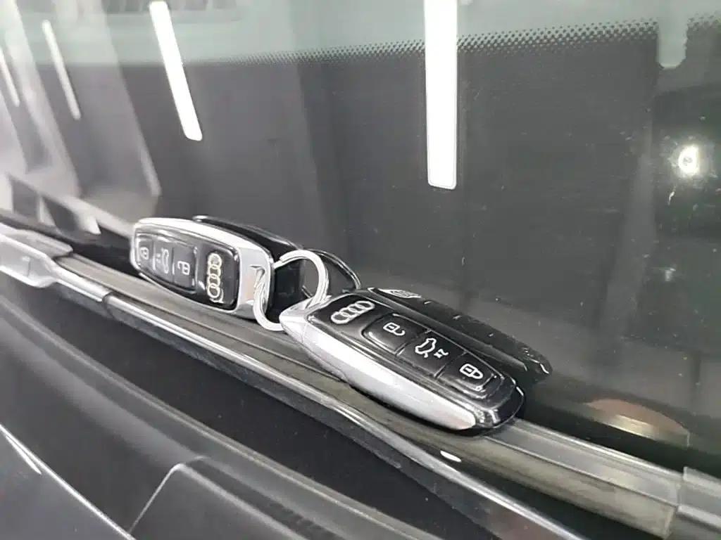 Audi e-tron (Imported) 2019 55 quattro Technology Edition — миниатюра 9