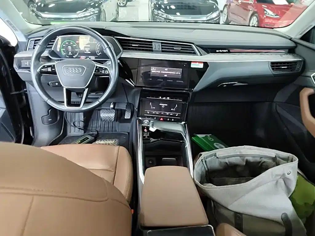 Audi e-tron (Imported) 2019 55 quattro Technology Edition — миниатюра 10