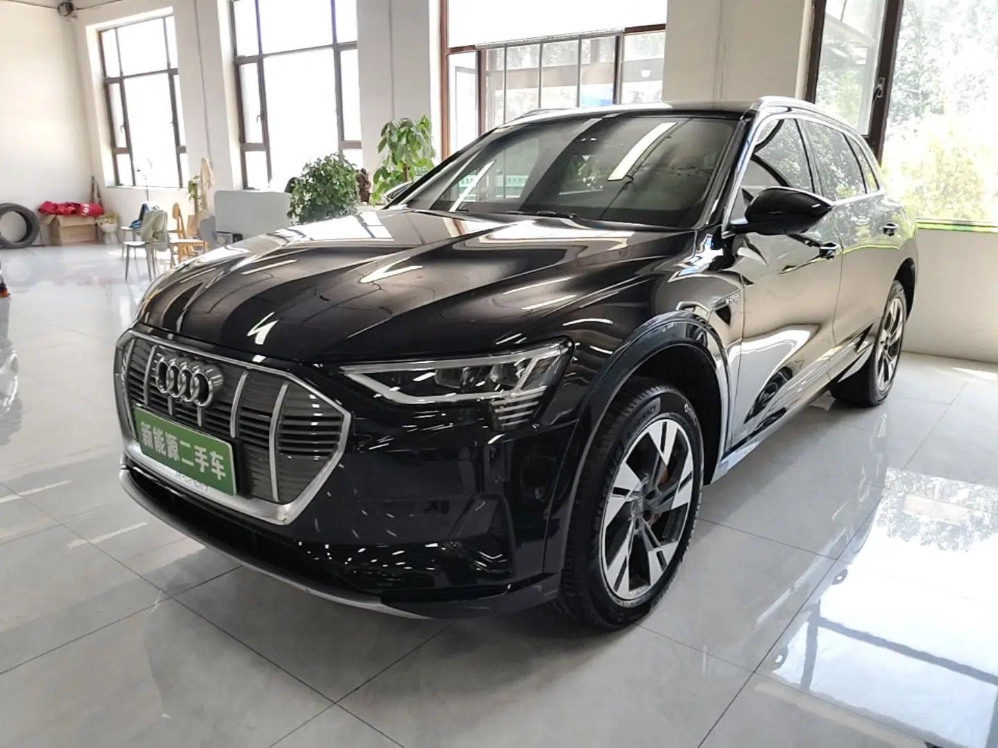 Audi e-tron 2019 55 quattro Technology Edition — миниатюра 1