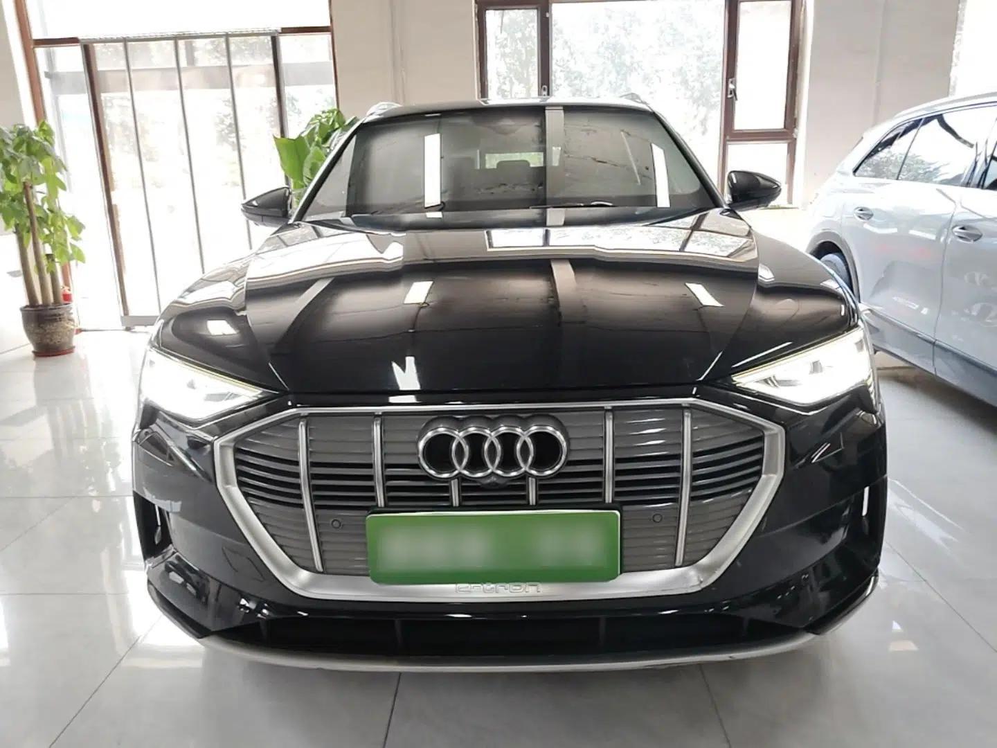 Audi e-tron 2019 55 quattro Technology Edition — миниатюра 2