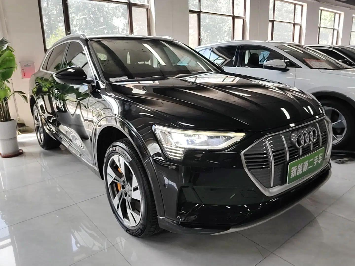 Audi e-tron 2019 55 quattro Technology Edition — миниатюра 3