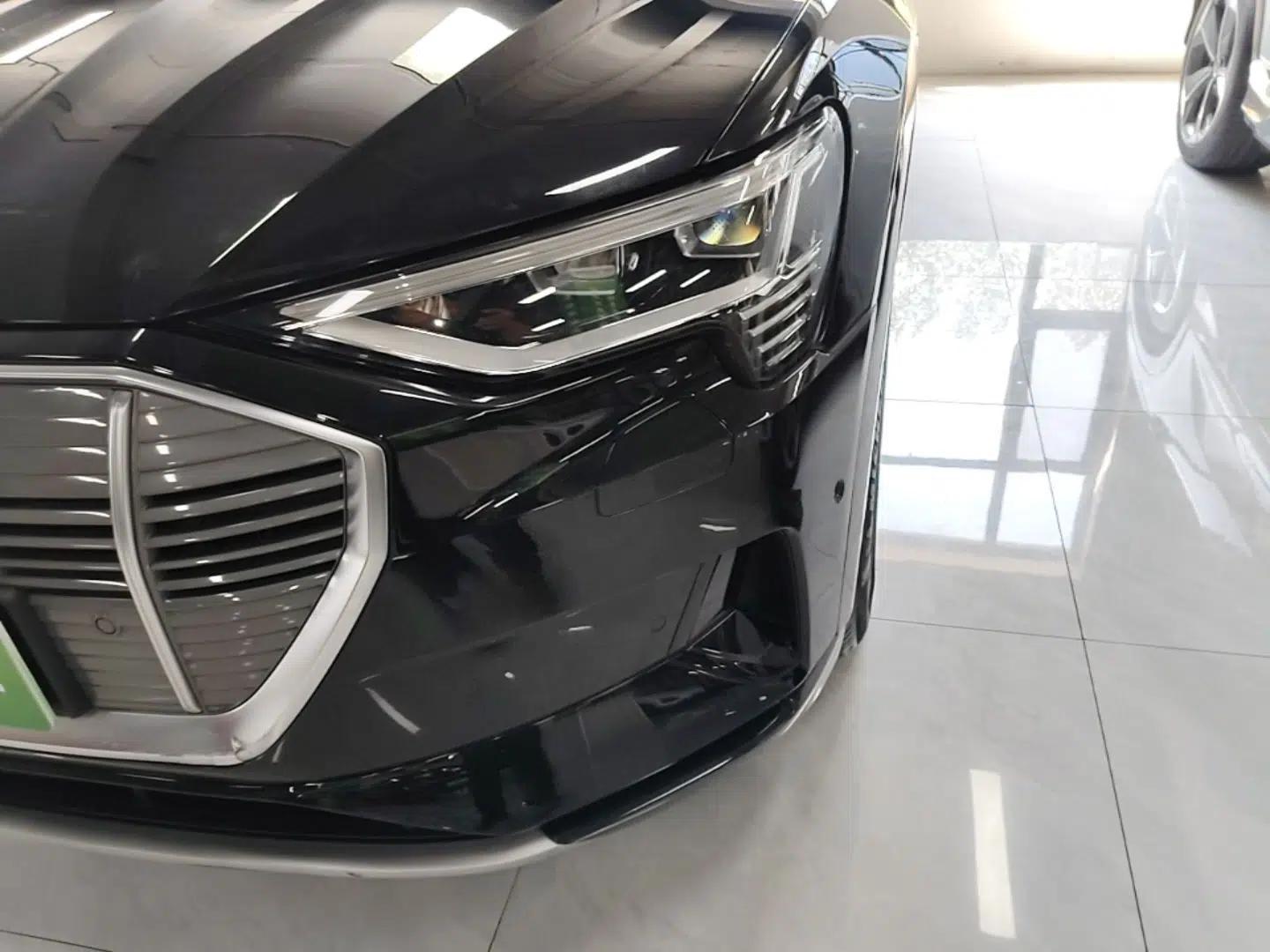 Audi e-tron 2019 55 quattro Technology Edition — миниатюра 8
