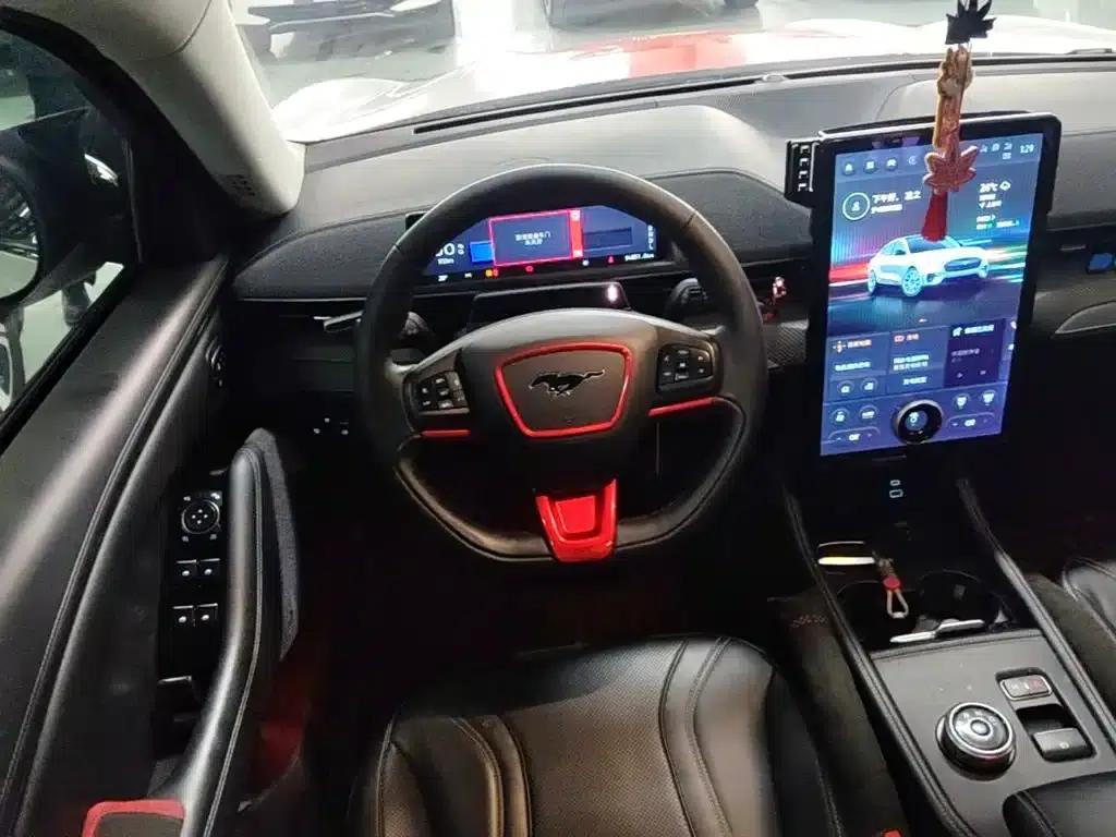 Ford e31 2021 Model X Long Range Rear-Wheel Drive — миниатюра 11