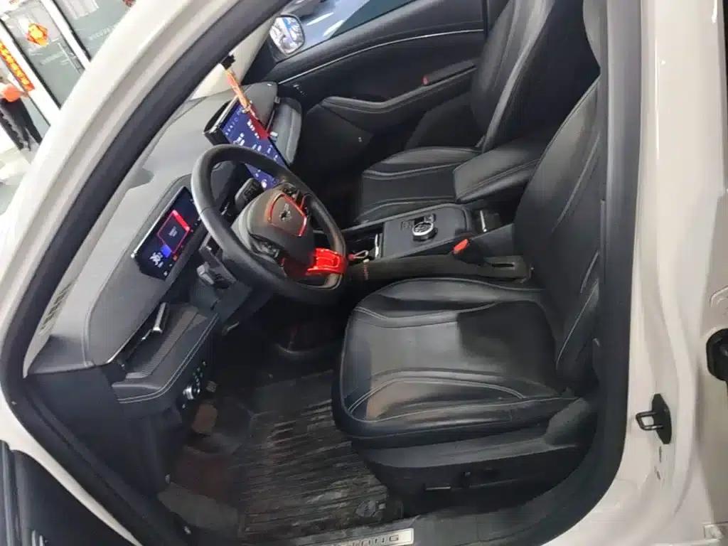 Ford e31 2021 Model X Long Range Rear-Wheel Drive — миниатюра 15