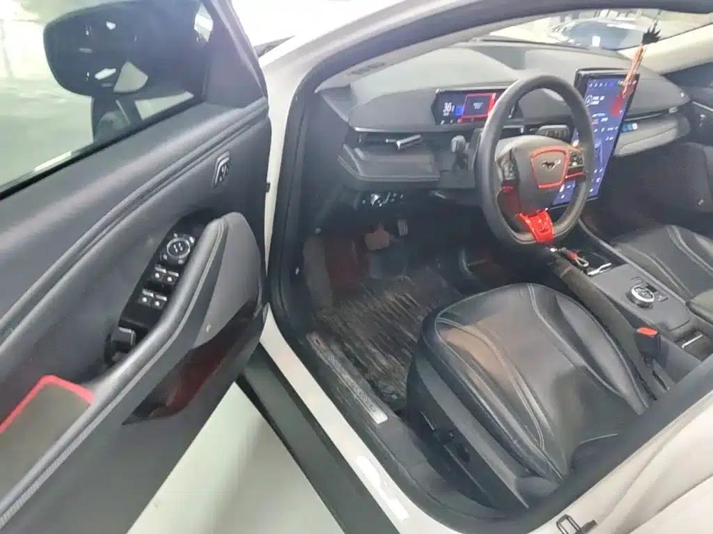 Ford e31 2021 Model X Long Range Rear-Wheel Drive — миниатюра 16