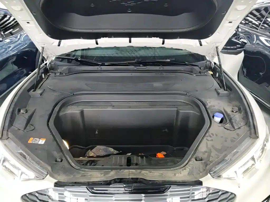 Ford e31 2021 Model X Long Range Rear-Wheel Drive — миниатюра 20