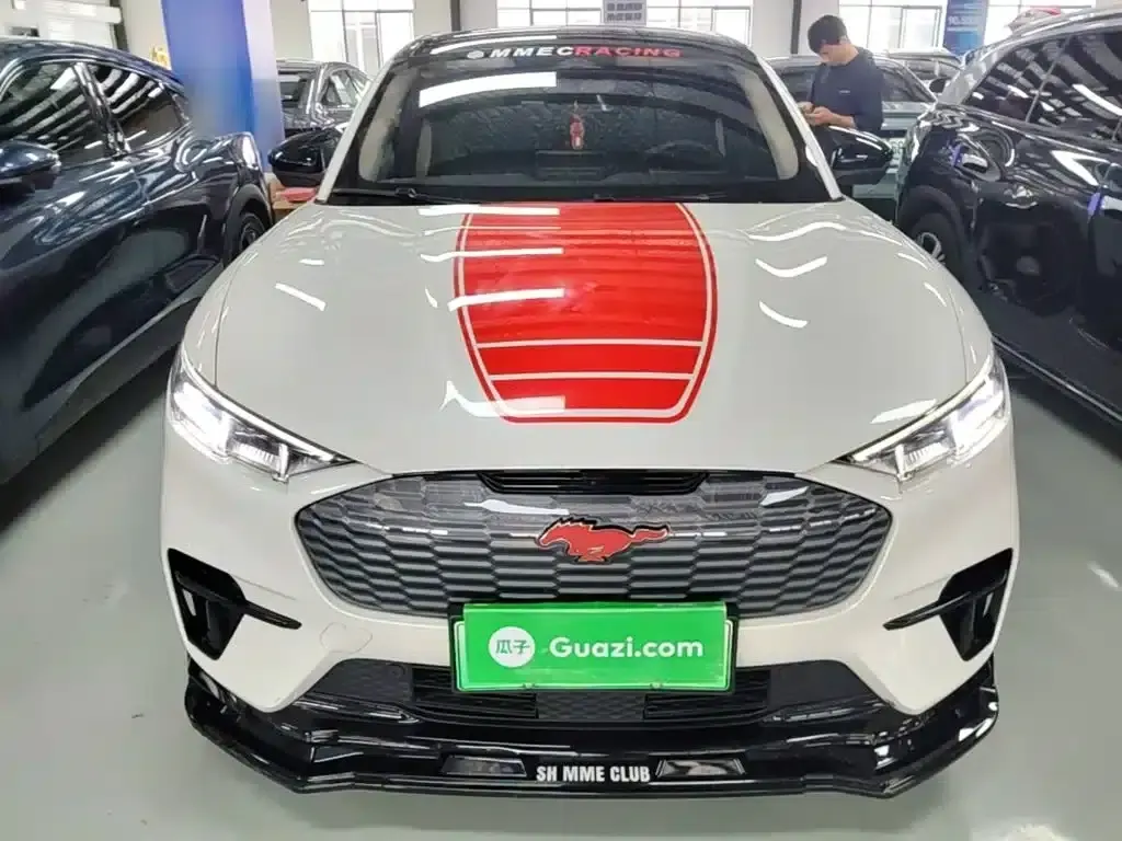Ford e31 2021 Model X Long Range Rear-Wheel Drive — миниатюра 3