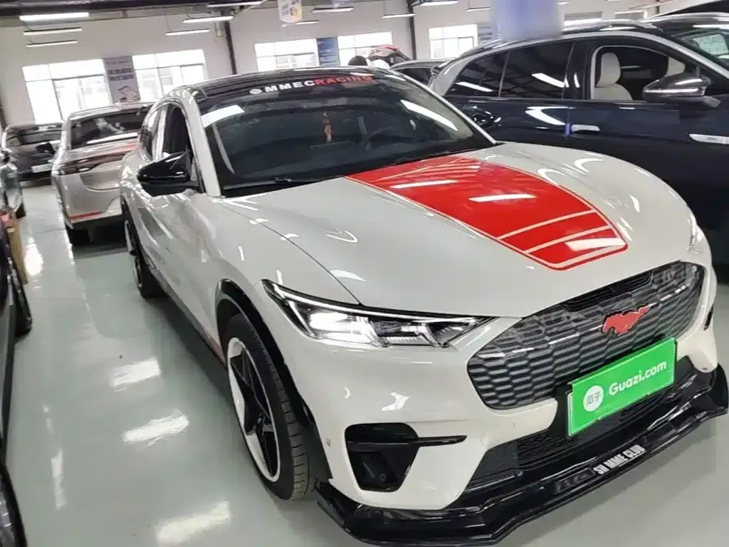 Ford e31 2021 Model X Long Range Rear-Wheel Drive — миниатюра 4