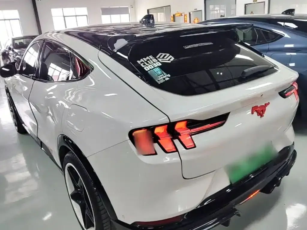 Ford e31 2021 Model X Long Range Rear-Wheel Drive — миниатюра 5